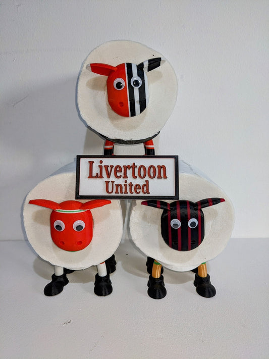 Custom made sheep toilet roll holder. Any football team strip available Your unique customisable Premier sheep with Personalised soccer kit