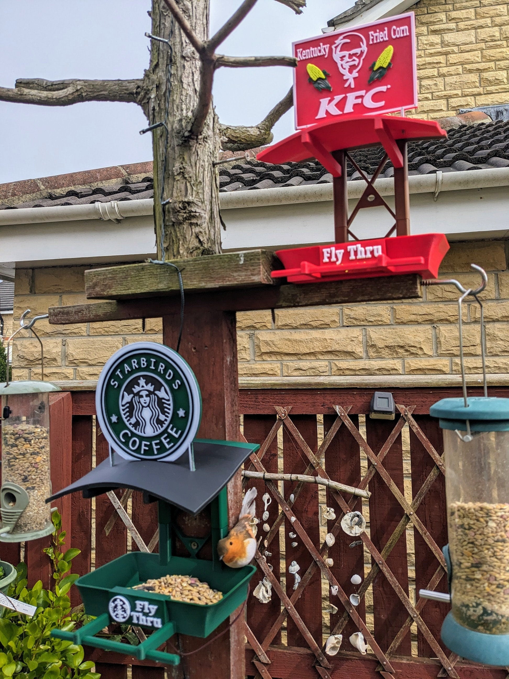 Starbirds coffee shop Fly Thru feeding station. Bird food feeder table for all your feathered friends that like seeds and fat balls