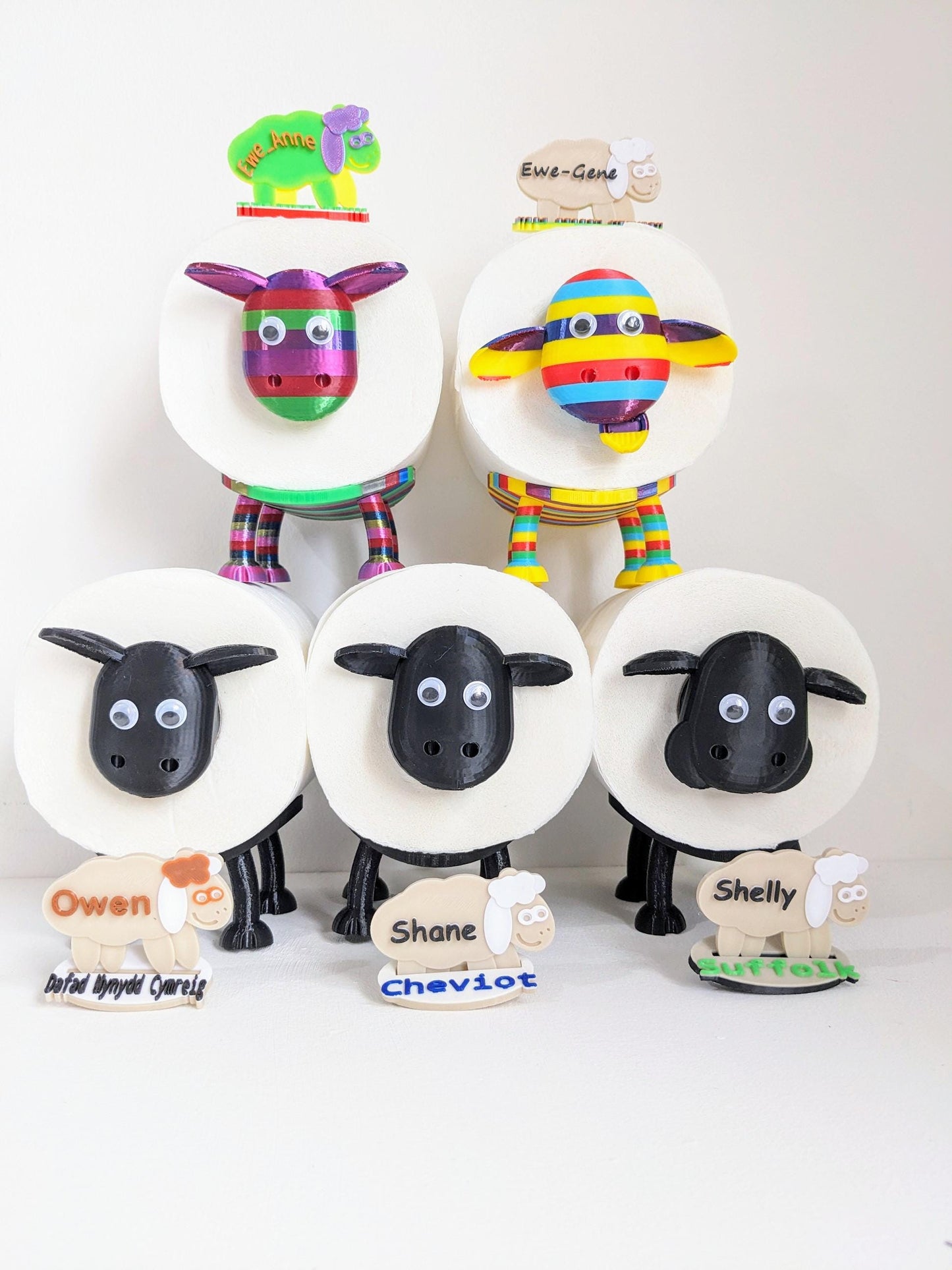 Ewe-Gene the rainbow sheep of the family spare toilet roll holder. The proudest brightest gay LGBTQ+ sheep in the flock.