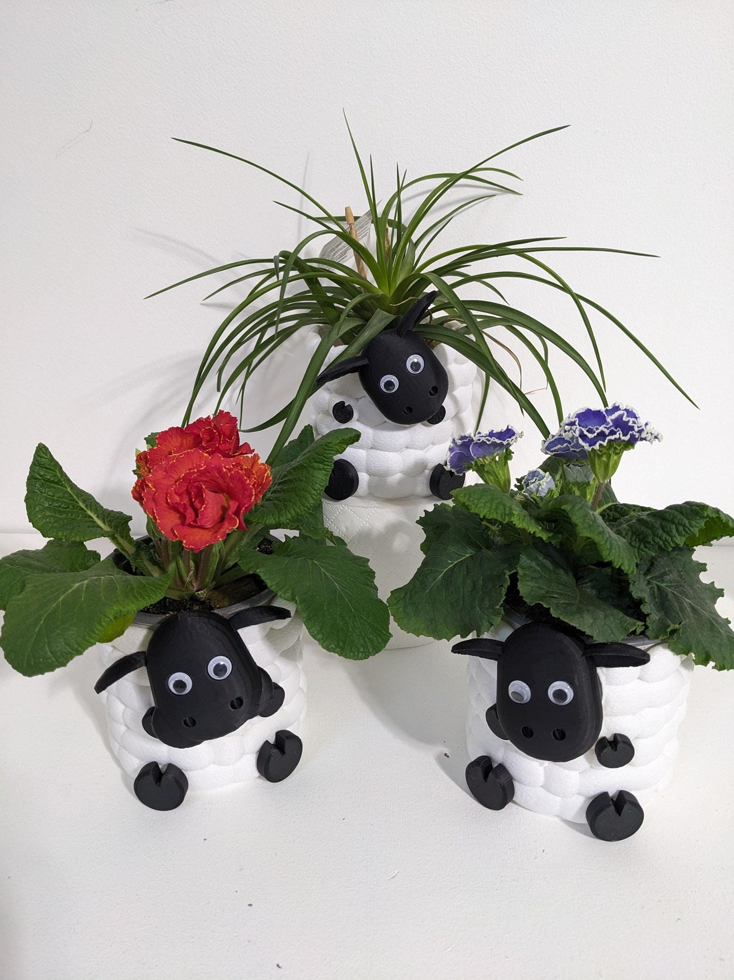 Adorable 3D Printed Sheep Planter - Cute Animal Plant Pot for Succulents & Small Plants choice of 3 to brighten up your indoor flowers.