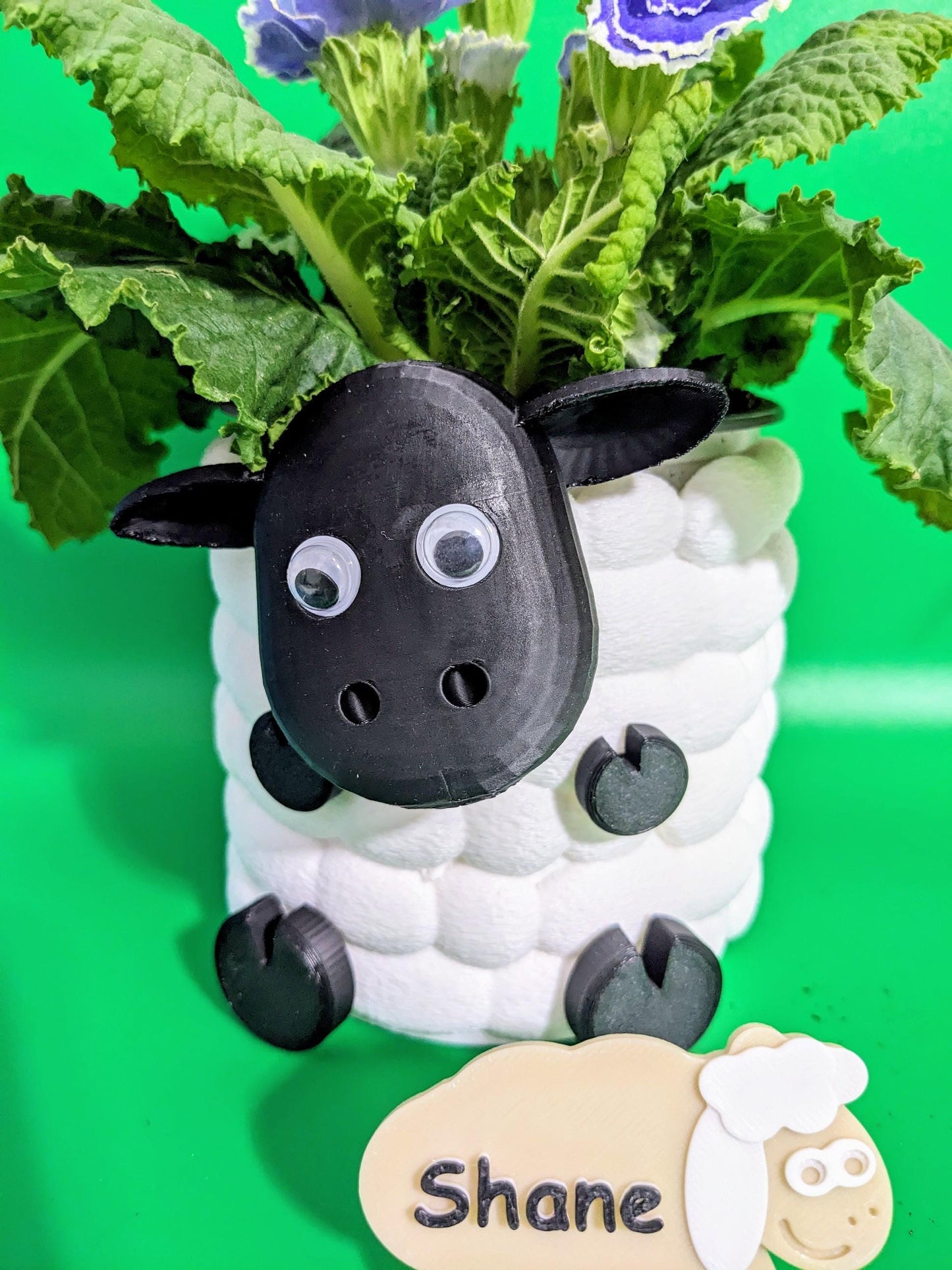 Adorable 3D Printed Sheep Planter - Cute Animal Plant Pot for Succulents & Small Plants choice of 3 to brighten up your indoor flowers.