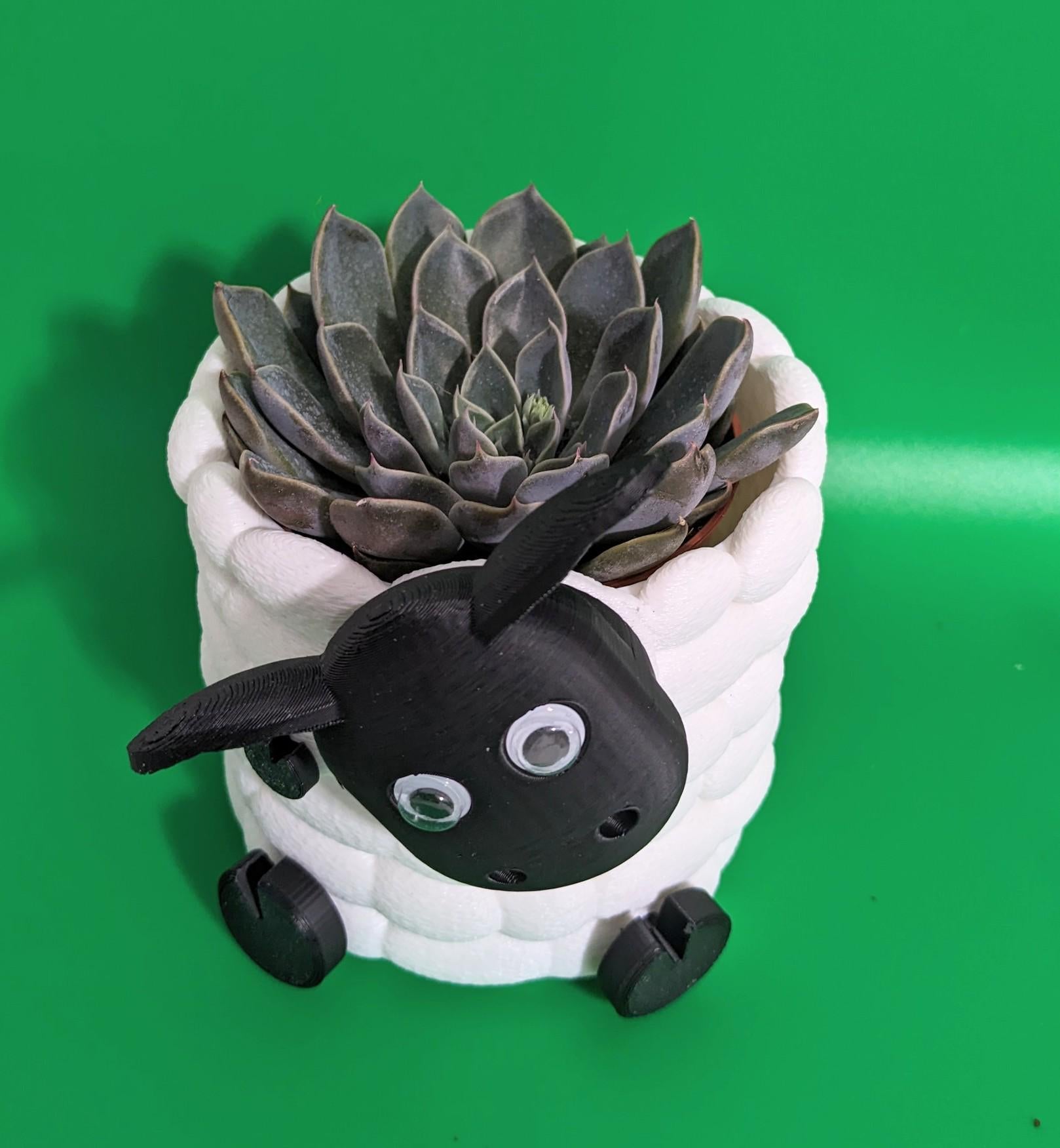 Adorable 3D Printed Sheep Planter - Cute Animal Plant Pot for Succulents & Small Plants choice of 3 to brighten up your indoor flowers.