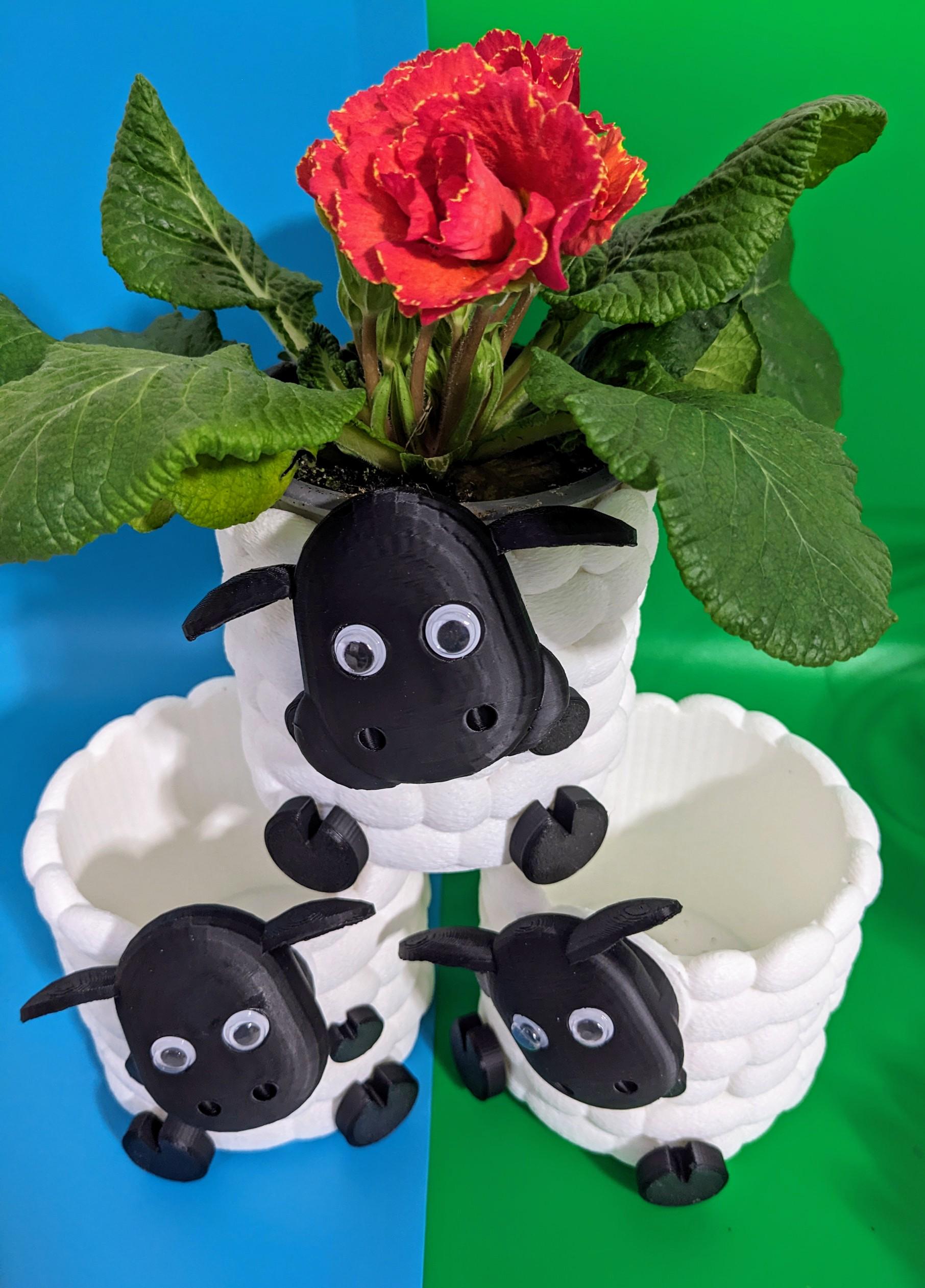 Adorable 3D Printed Sheep Planter - Cute Animal Plant Pot for Succulents & Small Plants choice of 3 to brighten up your indoor flowers.