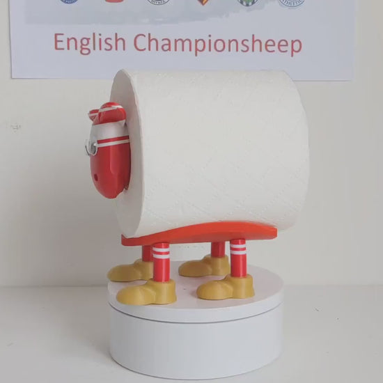 Middlesbrough 2025 Champion Sheep spare toilet roll holder  with customised choice of boro football boots